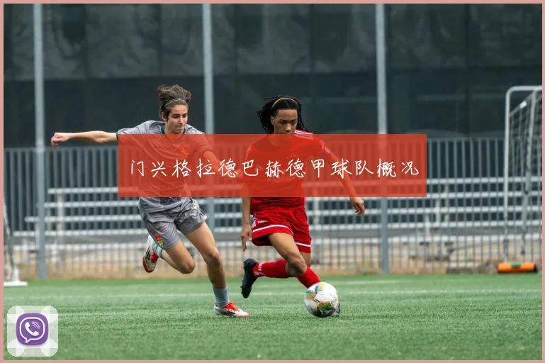 门兴格拉德巴赫德甲球队概况