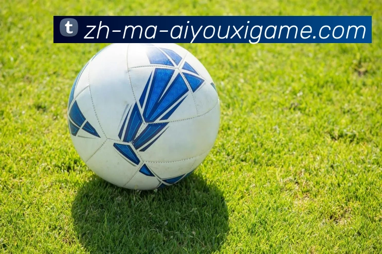 爱游戏APP 封面图