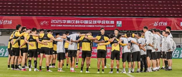 爱游戏-历史上征战过德甲的那些球队及其辉煌战绩